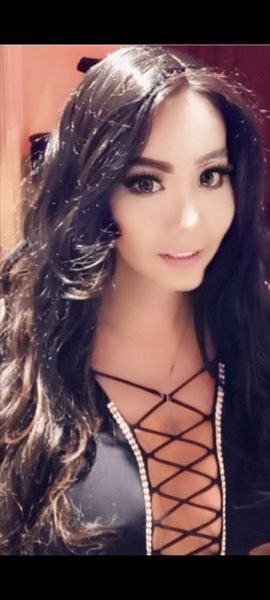HOLLYWOOD BOMBSHELL