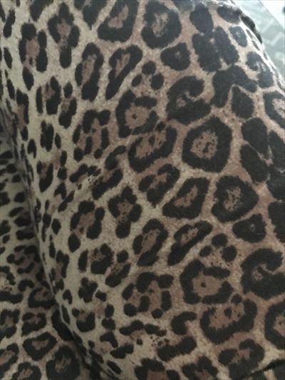 MissEllaneous profile photo 2