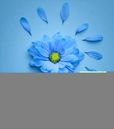 LizaLeo69 profile photo 3