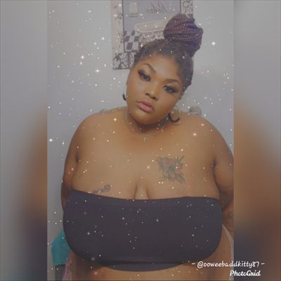 Le Freak Kitty profile photo 2