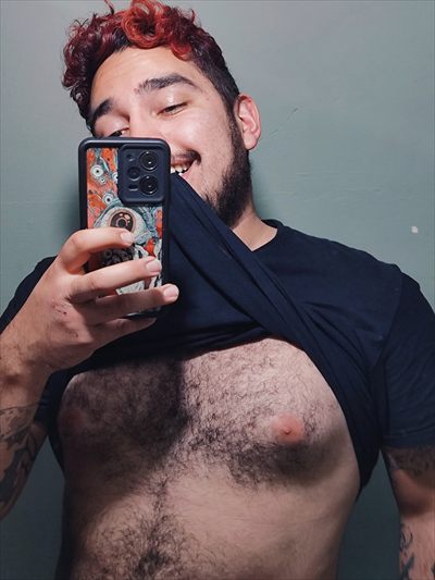 Oso Malhumorado