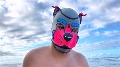 Pup Bellagio profile photo 2