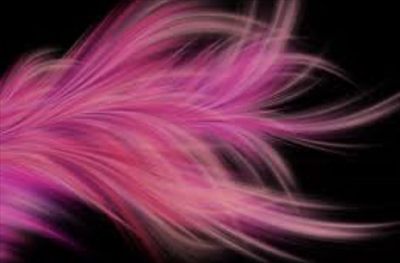 The Wise Enchantress profile photo 2