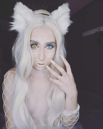 Kitten profile photo 3