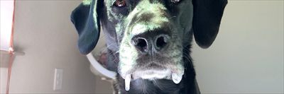 Jacob C. Thot profile photo 2