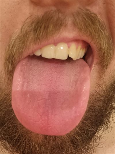 Giant Boo profile photo 2