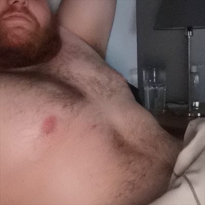 BeardedBear