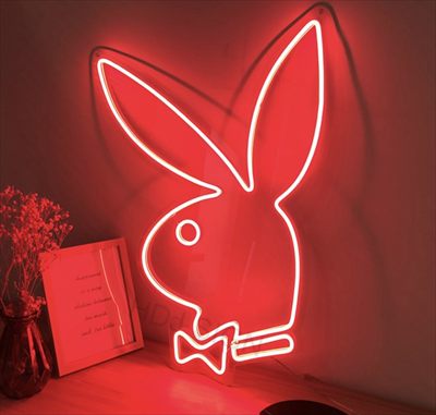 Dianabunny🌸 profile photo 2
