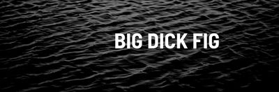 bigdickfig profile photo 2