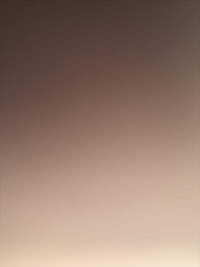Koko profile photo 2