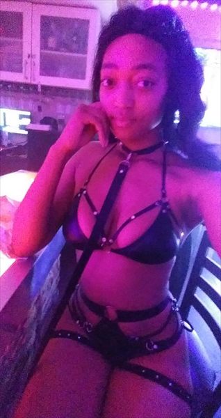 Lex profile photo 2