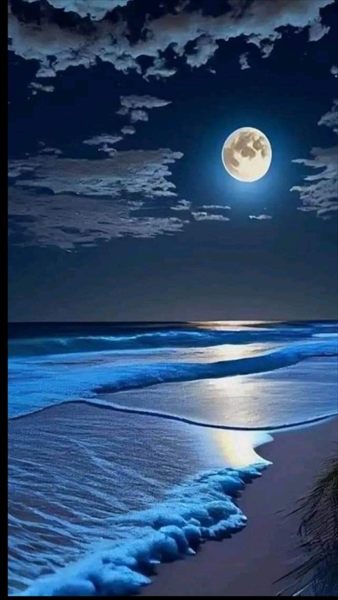 Redneck profile photo 2