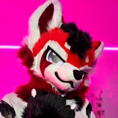 Arco Husky