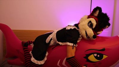 Arco Husky profile photo 2