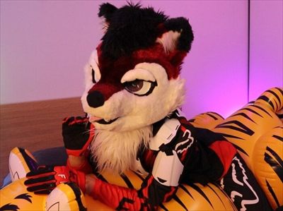 Arco Husky profile photo 3