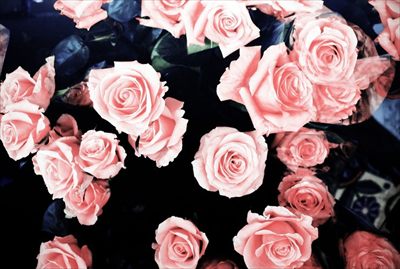 Nani Rose profile photo 2