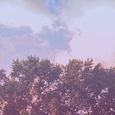 Quietlysmoking 😶‍🌫️ profile photo 2