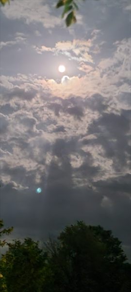 Astra Rainn profile photo 2