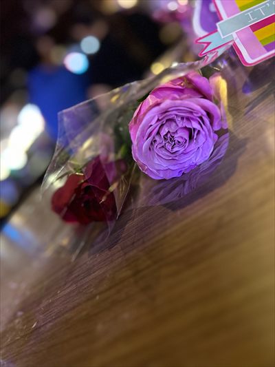 Wild Flower 🌸 profile photo 2