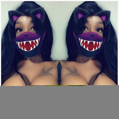 THE ELITE TS DIXI profile photo 3