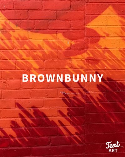 brownbunny profile photo 2