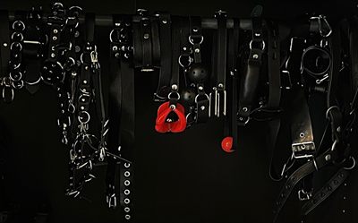 Mistress Sasha Steele profile photo 2