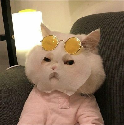 𝙼𝚒𝚕𝚔 𝙼𝚊𝚖í profile photo 2