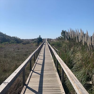 EPDtravels profile photo 2