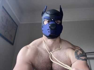 PupRocky profile photo 2