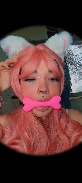 Bisounours Rose 🧸💕