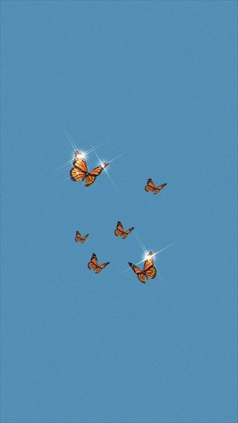 Holli Riden 🦋