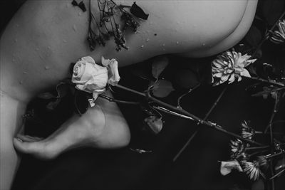 Scarlett Noir profile photo 2