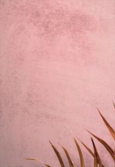 andrea profile photo 2