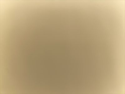princessst profile photo 2