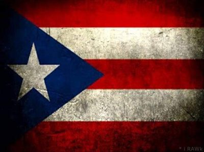 Junior🇵🇷 profile photo 2