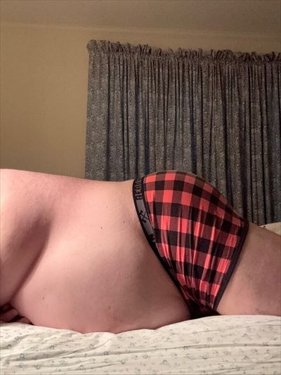 curiousbear73 profile photo 2