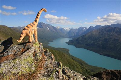 Jill - solo in Alaska profile photo 2