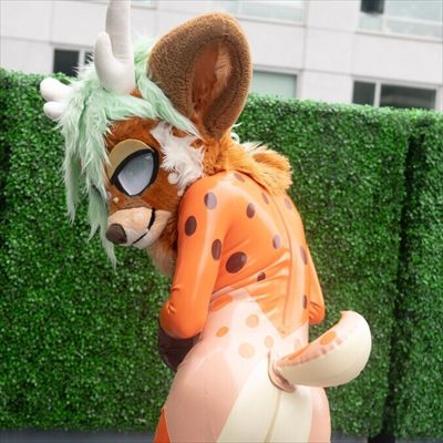 Stephie the Deer