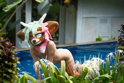 Stephie the Deer profile photo 2