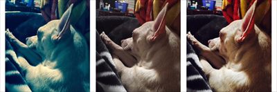 Karma profile photo 2