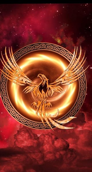Phoenix Lv profile photo 2