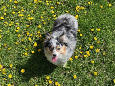 Darli profile photo 2