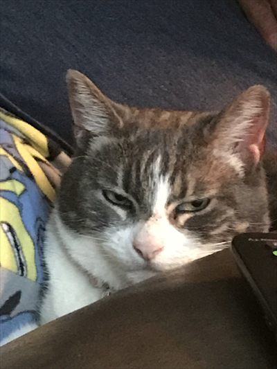 Pussyeater profile photo 2