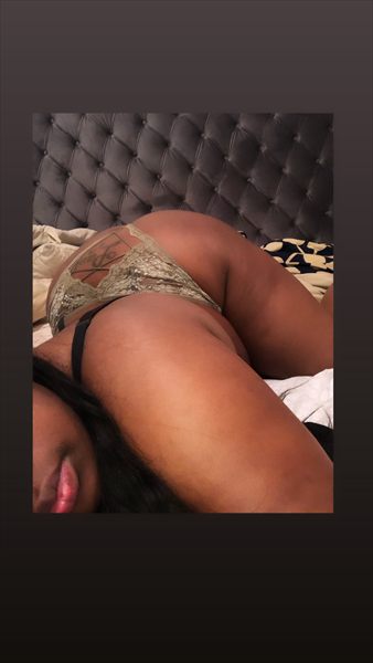 MsFatCat 🐯