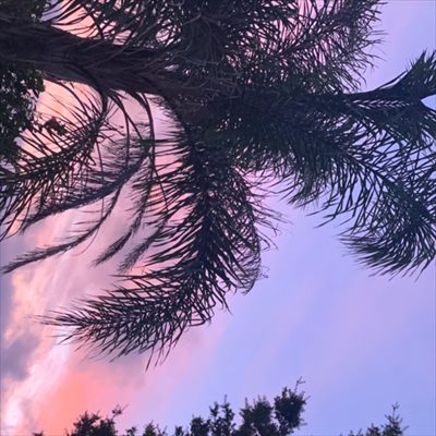 gabbie ✨ profile photo 2