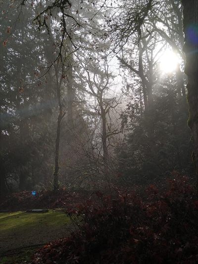 Cryptic_Poet profile photo 2