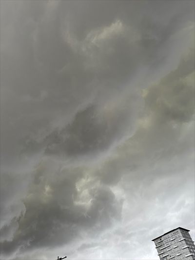 essauzonum profile photo 2