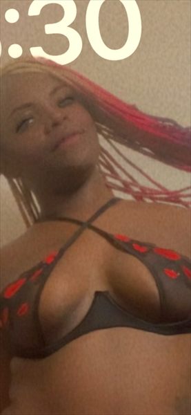 ExoticDaStallion