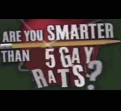 Rat profile photo 2