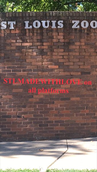 Saint Louis Summer profile photo 2